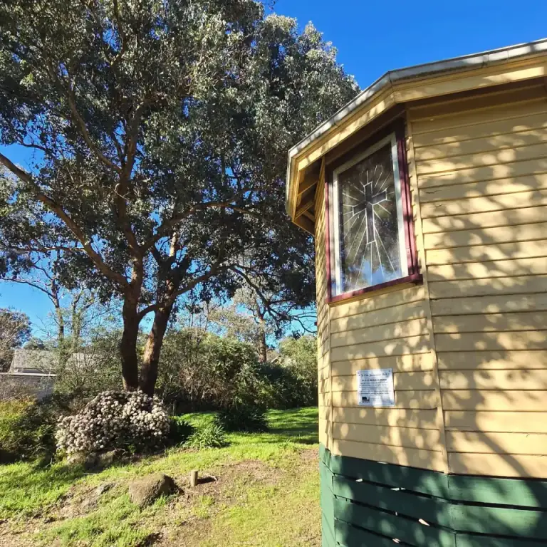 Established tree growing beside a house