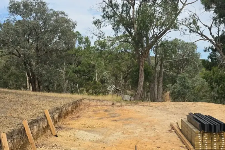 Building foundations and excavation near established trees