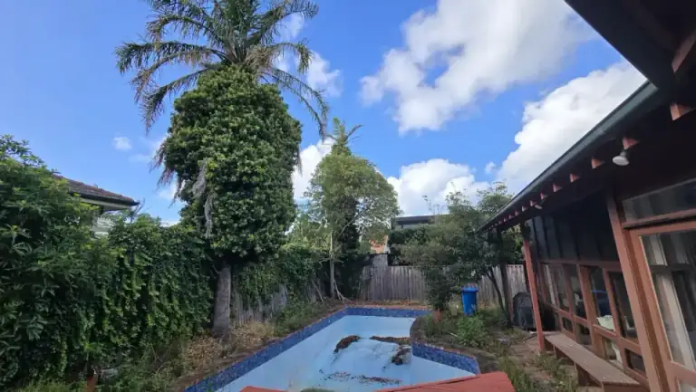Trees beside a swimming pool and building works